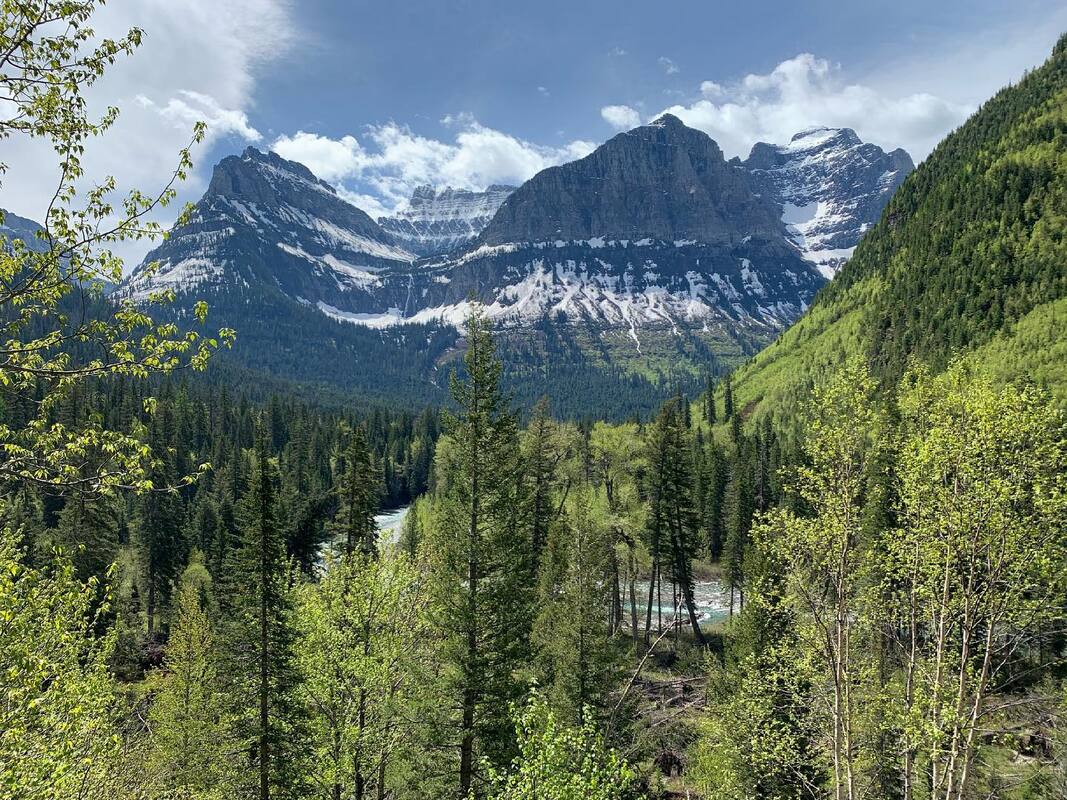 Mountains, forest and creek of Glacier National Park